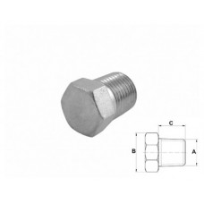BUJÃO TAMPÃO 7112 Sext. 1.1/8” 12,5mm M22 x 1,5 - 2414822